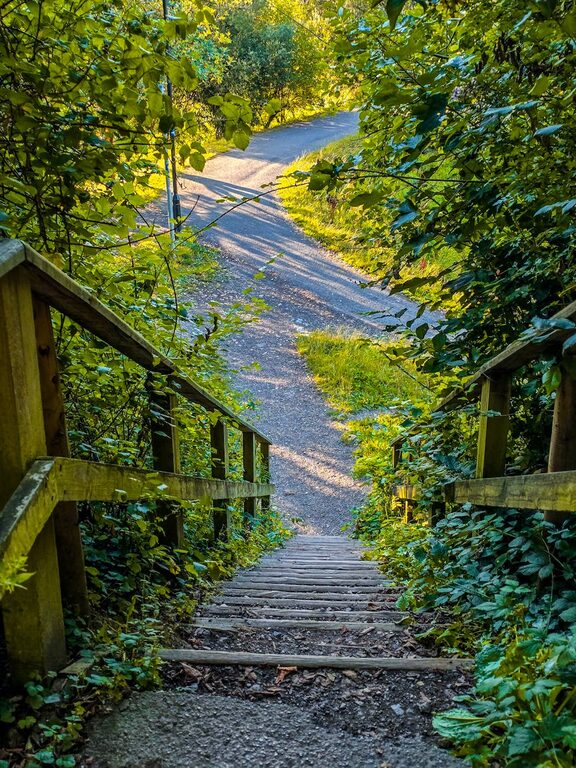 Beginner Guide to Mindful Walking: Step Into Calmness